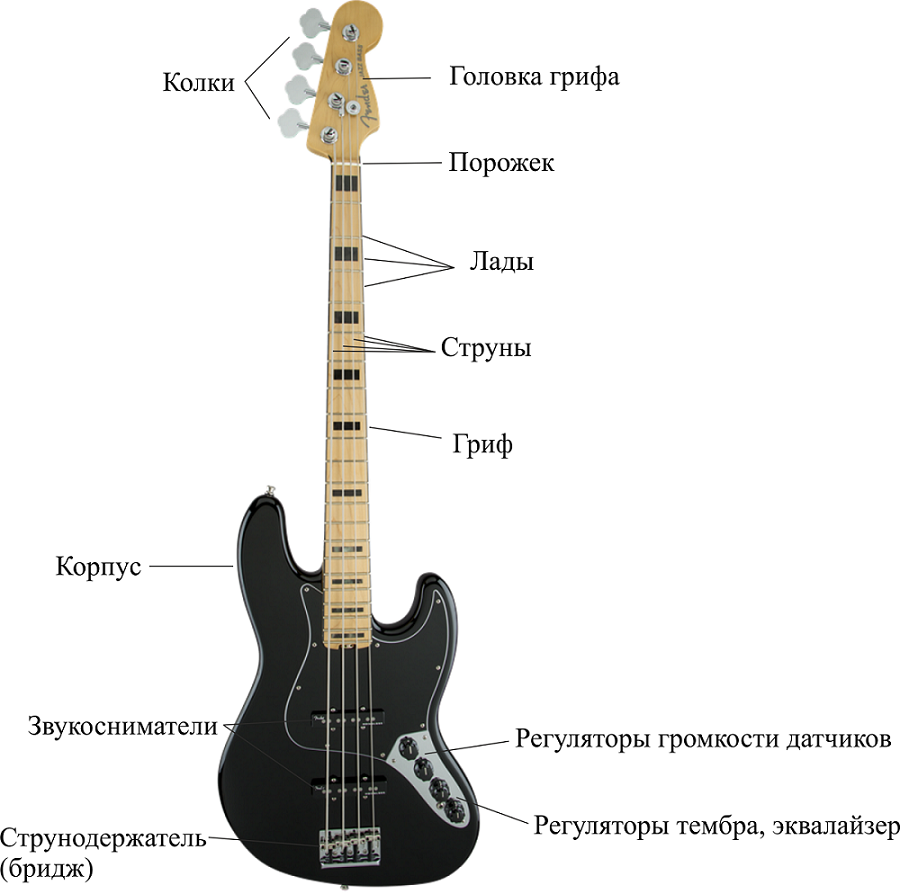 Конструкция бас гитары