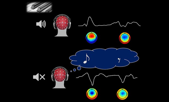 Наш мозг кодирует музыкальные предсказания, даже когда музыка не звучит