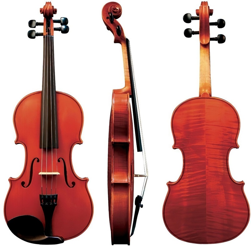 Лучшие скрипки для начинающих