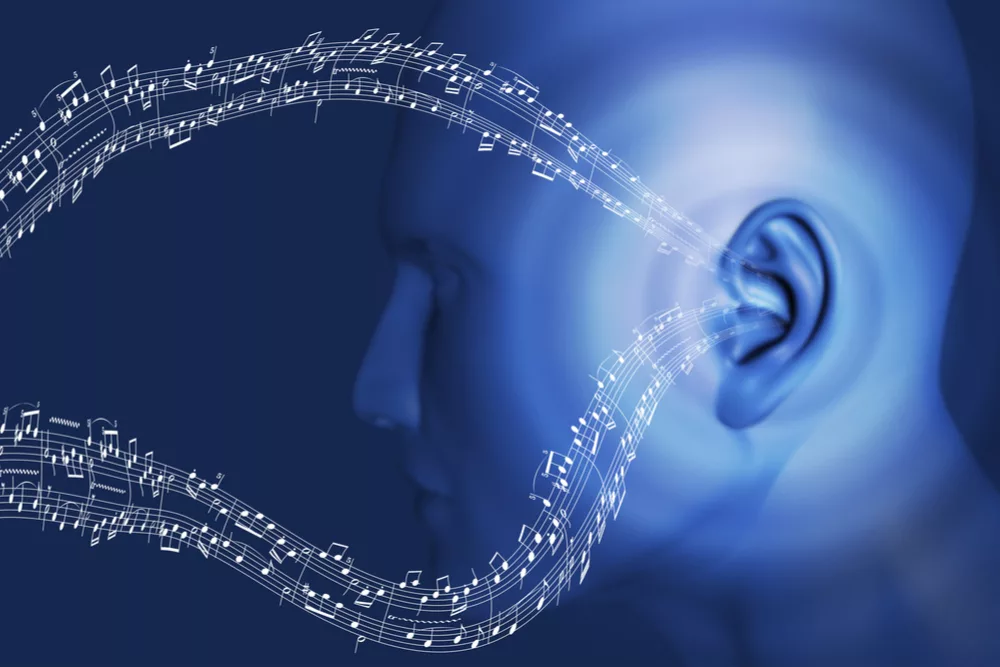 Методы для тренировки музыкального слуха